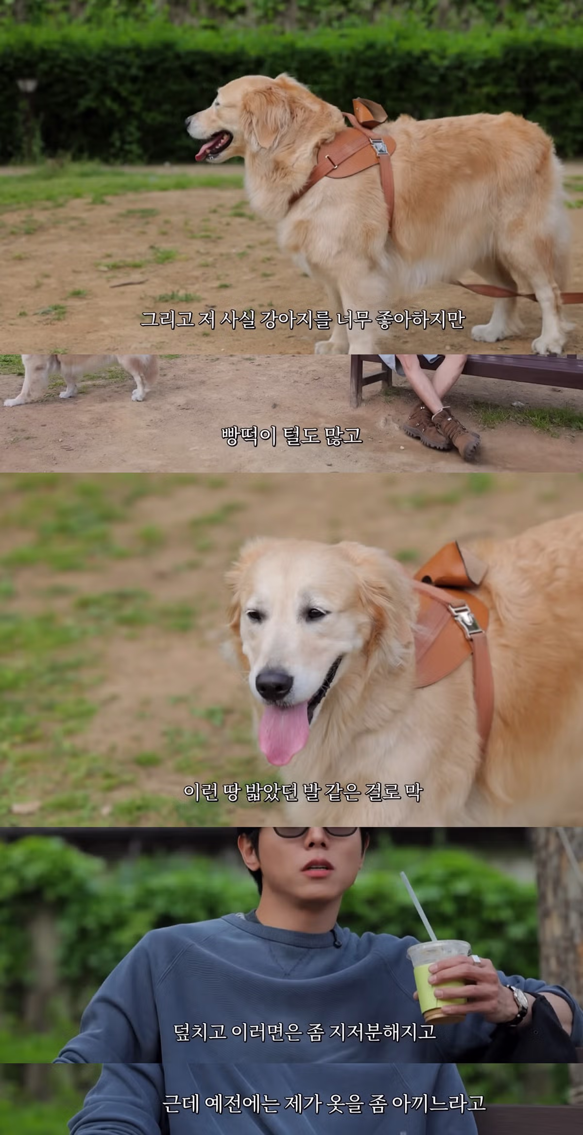 리트리버와 함께하면 예민함이 줄어든다는 주우재 - 디시인사이드 인기글 이미지 1 - 밈카세