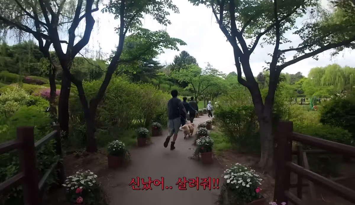 리트리버와 함께하면 예민함이 줄어든다는 주우재 - 디시인사이드 인기글 이미지 8 - 밈카세