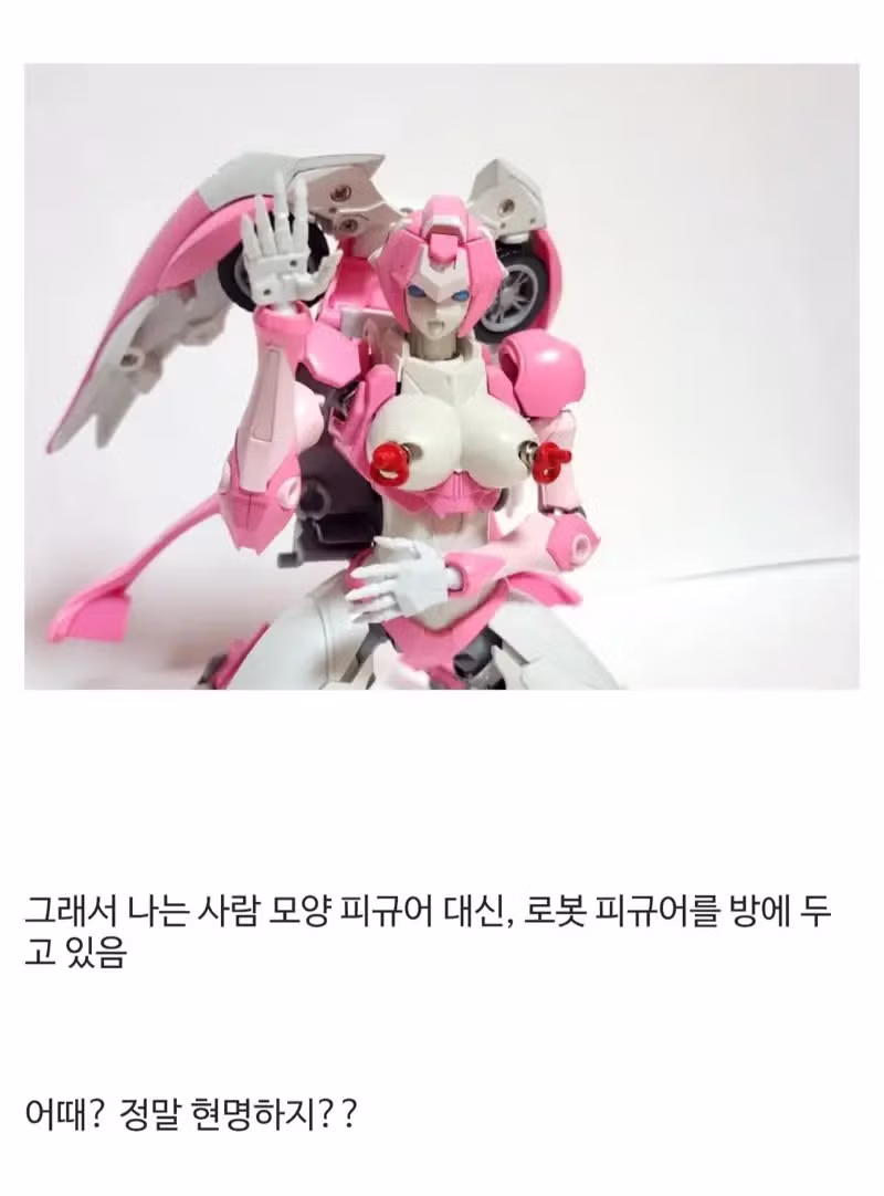 집에 사람 모양 장난감 두면 안 되는 이유 - 웃대 인기글 이미지 6 - 밈카세