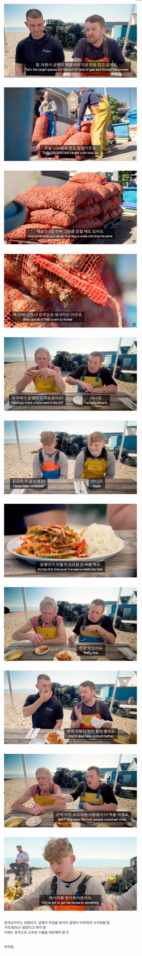 대한민국 1급 비밀이 공개된 상황 - 보배드림 인기글 이미지 1 - 밈카세