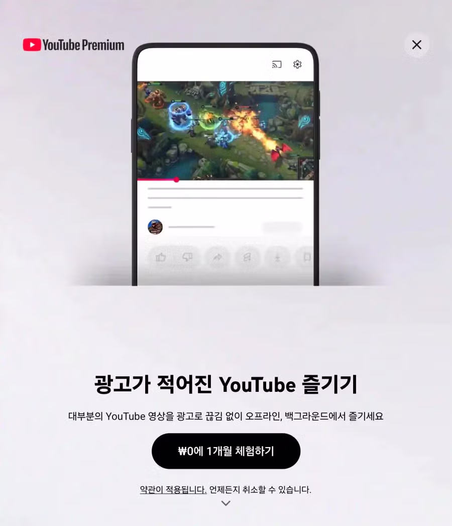 유튜브 프리미엄 광고문구, '광고가 없어진' -> '광고가 적어진'으로 변경 - 네이트판 인기글 이미지 1 - 밈카세