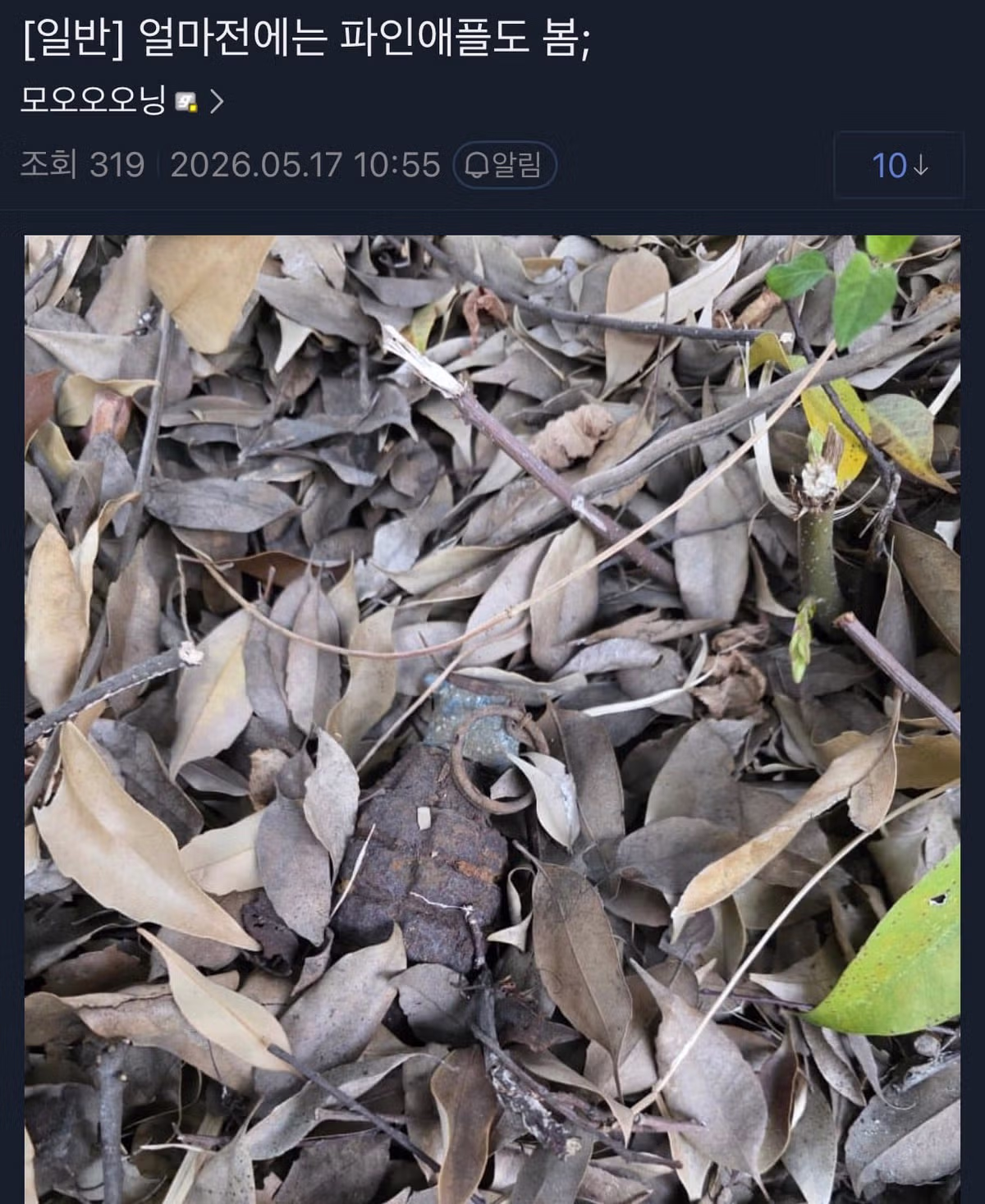 등산 중 불발탄을 발견한 군사 갤러리 이용자 - 인벤 인기글 이미지 15 - 밈카세