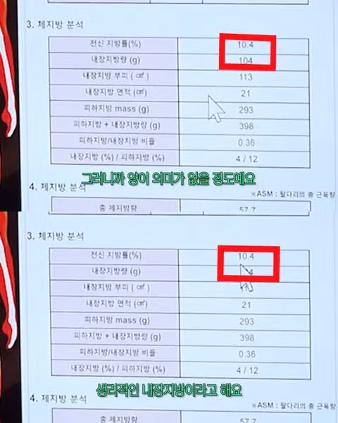 내장지방이 거의 없다는 아이돌 몸수치 레전드 - 인스티즈 인기글 이미지 3 - 밈카세