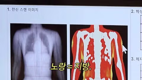 내장지방이 거의 없다는 아이돌 몸수치 레전드 - 인스티즈 인기글 이미지 5 - 밈카세