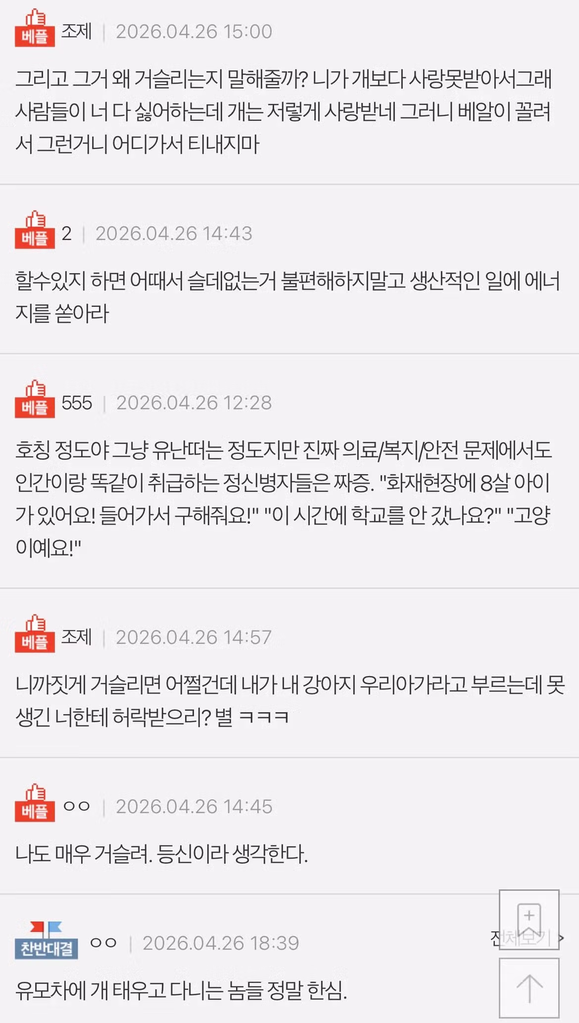 반려동물을 자녀처럼 여기는 문화에 대한 생각 - MLB파크 인기글 이미지 2 - 밈카세