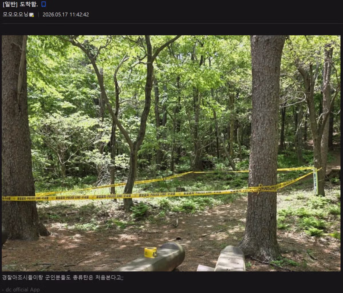 등산 중 불발탄을 발견한 군대 갤러리 이용자 - 보배드림 인기글 이미지 2 - 밈카세