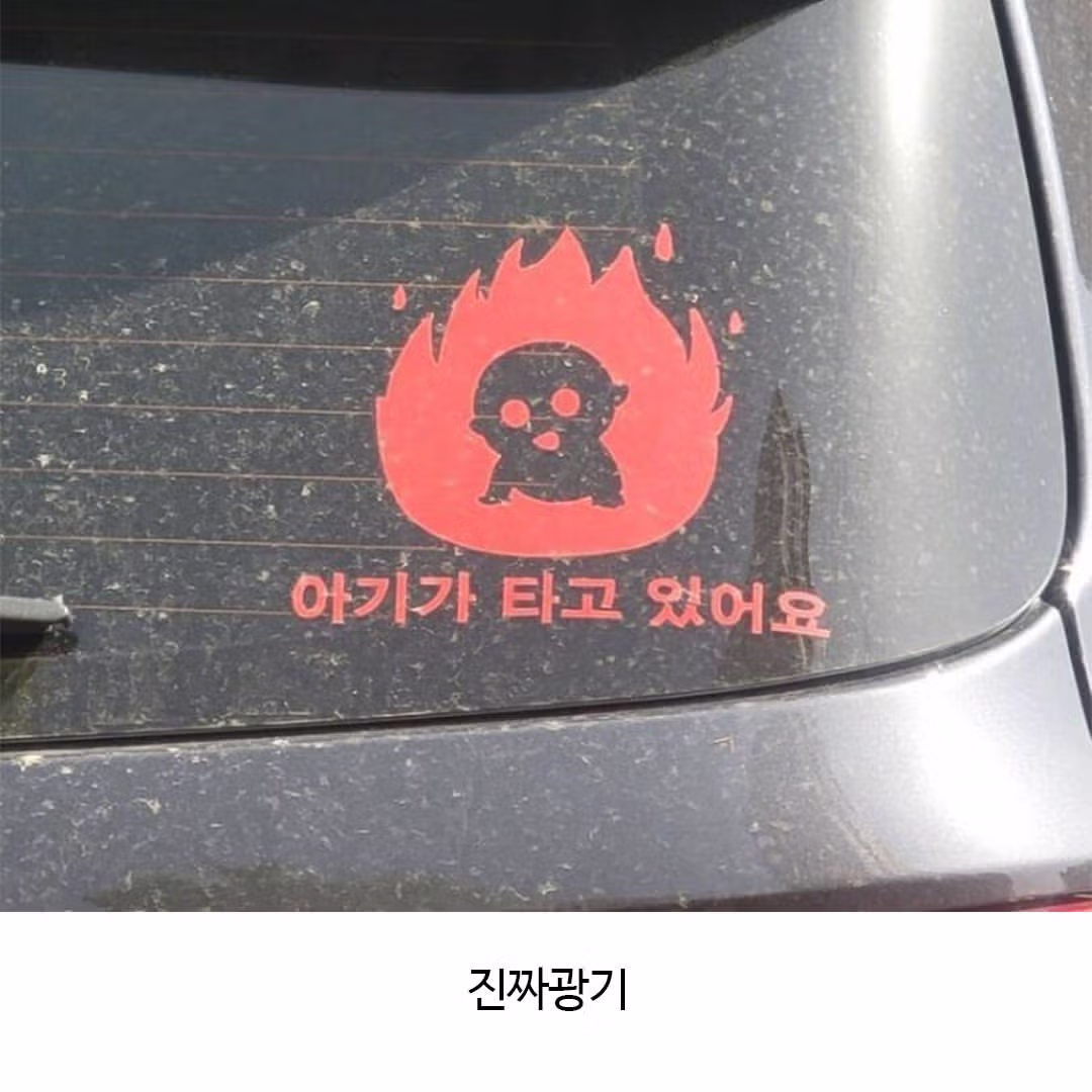 아기 탑승 스티커의 진짜와 가짜 구분법 - FM코리아 인기글 이미지 2 - 밈카세