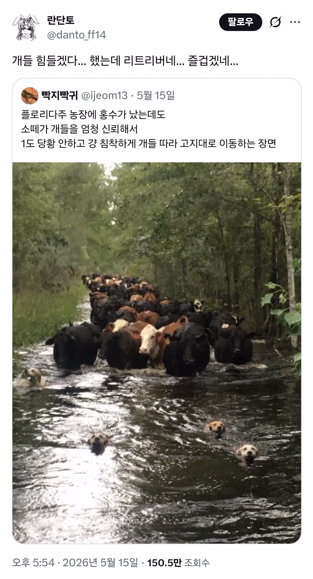 챱츄의 직업 만족도가 상승하는 이유 - 인벤 인기글 이미지 1 - 밈카세