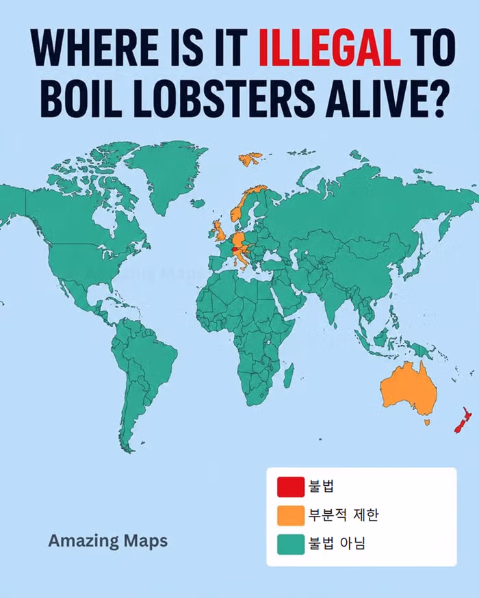 바닷가재를 산 채로 삶는 것이 불법인 나라 - 뽐뿌 인기글 이미지 1 - 밈카세