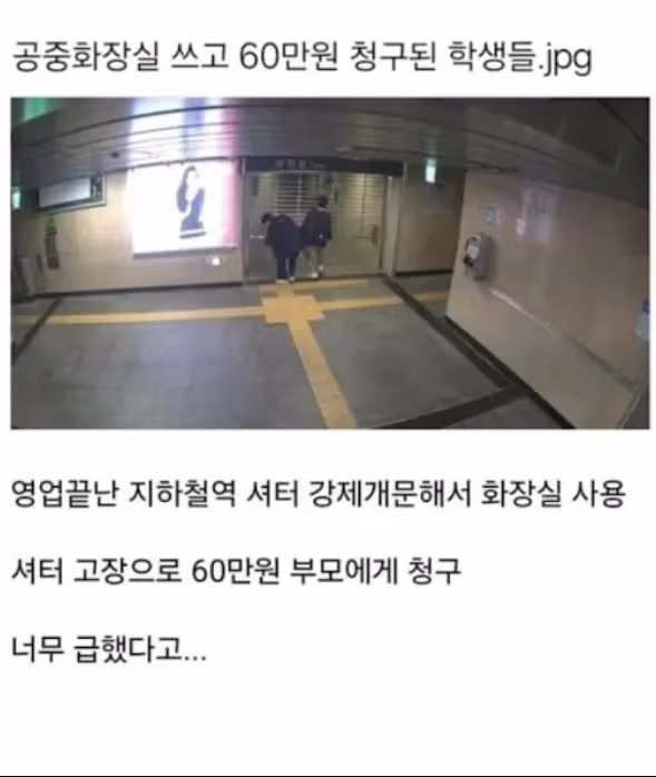 60만원짜리 결과물 - 보배드림 인기글 이미지 1 - 밈카세
