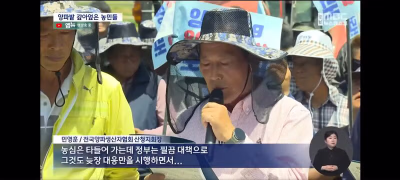 양파 가격 폭락으로 인한 농민들의 분노 - 보배드림 인기글 이미지 3 - 밈카세