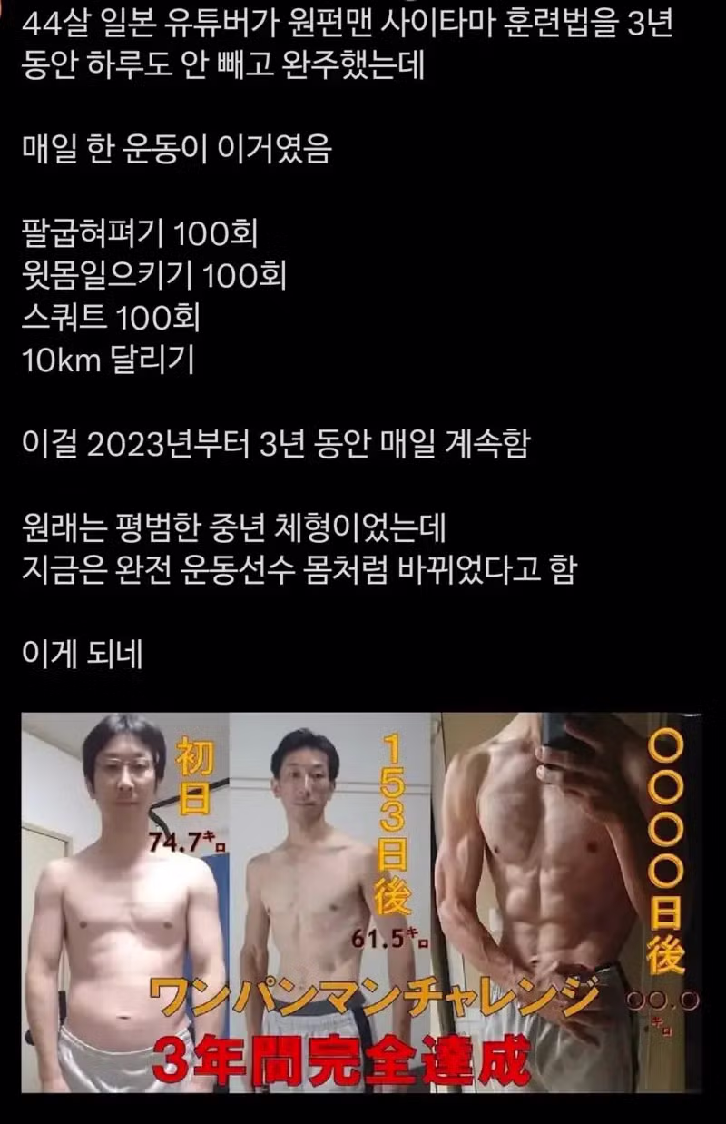 3년 동안 원펀맨 운동법을 실천한 44세 일본 유튜버 - 뽐뿌 인기글 이미지 1 - 밈카세