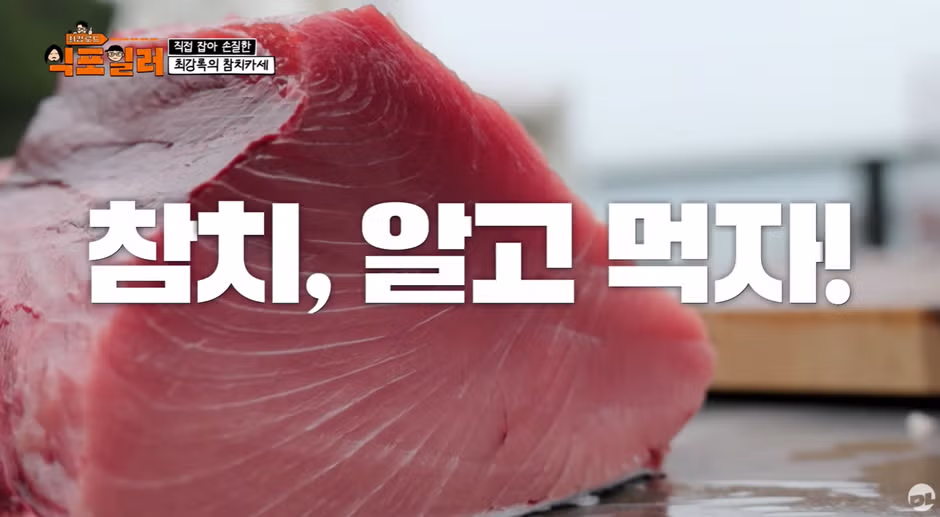 참치회 먹을 때 호불호 갈리는 포인트 3가지 - 디시인사이드 인기글 이미지 1 - 밈카세