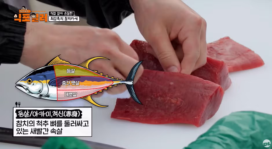 참치회 먹을 때 호불호 갈리는 포인트 3가지 - 디시인사이드 인기글 이미지 3 - 밈카세