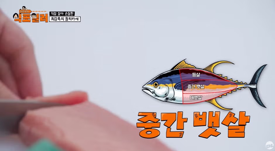 참치회 먹을 때 호불호 갈리는 포인트 3가지 - 디시인사이드 인기글 이미지 8 - 밈카세