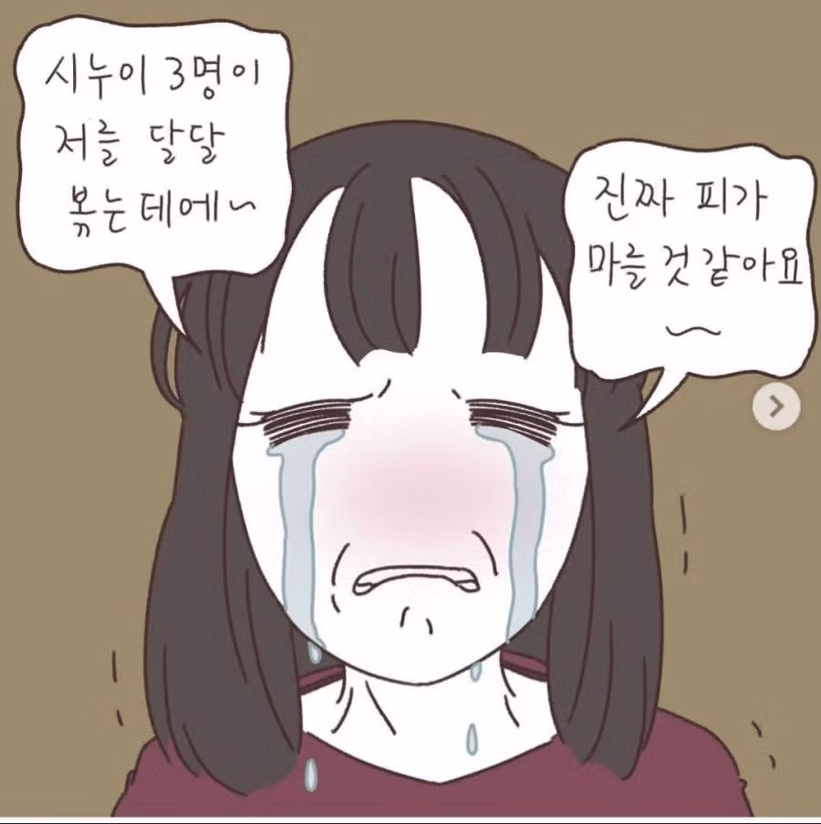 시누이들의 괴롭힘으로 이혼을 결심한 사연 - 보배드림 인기글 이미지 1 - 밈카세