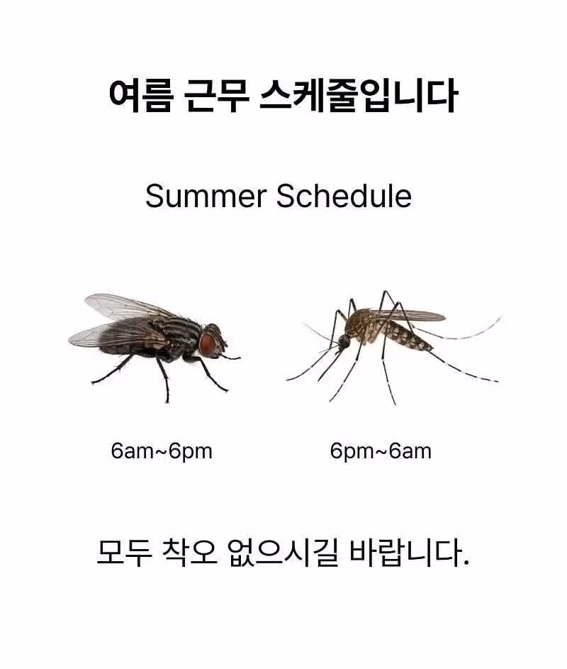 인사과에서 안내하는 여름철 주의사항 - 뽐뿌 인기글 이미지 1 - 밈카세