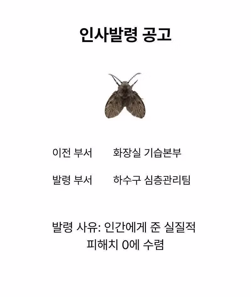 인사과에서 안내하는 여름철 주의사항 - 뽐뿌 인기글 이미지 2 - 밈카세