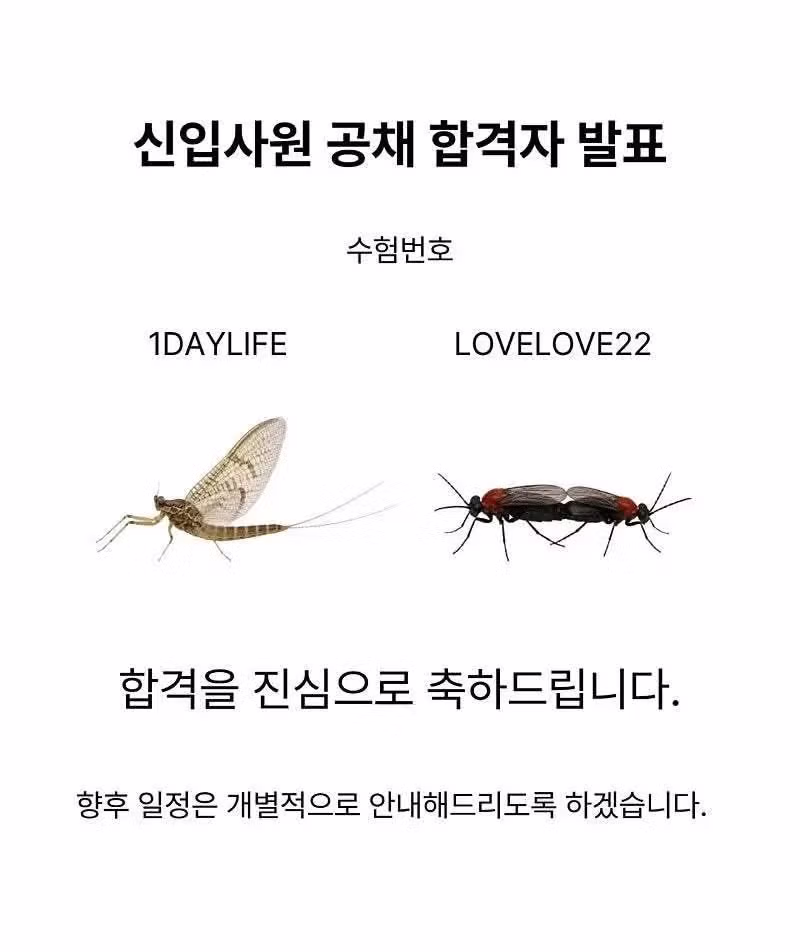 인사과에서 안내하는 여름철 주의사항 - 뽐뿌 인기글 이미지 3 - 밈카세