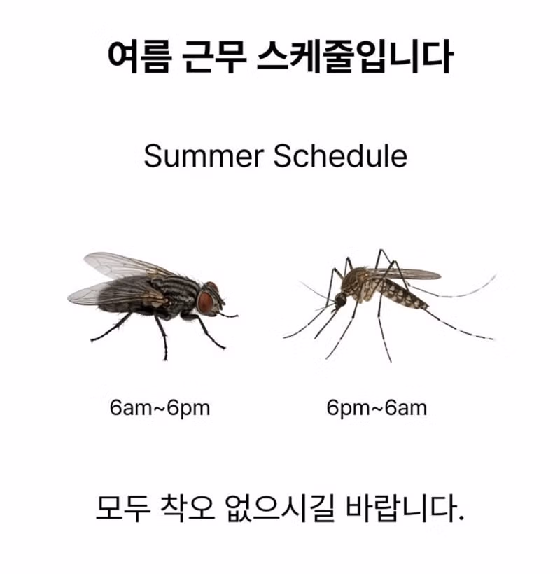 여름 근무 스케줄 업데이트 알림 - 디시인사이드 인기글 이미지 1 - 밈카세