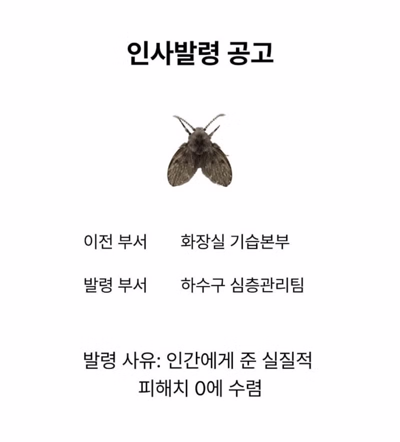 여름 근무 스케줄 업데이트 알림 - 디시인사이드 인기글 이미지 2 - 밈카세