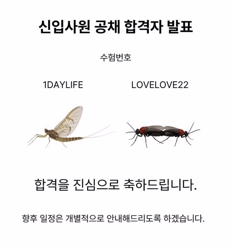 여름 근무 스케줄 업데이트 알림 - 디시인사이드 인기글 이미지 3 - 밈카세