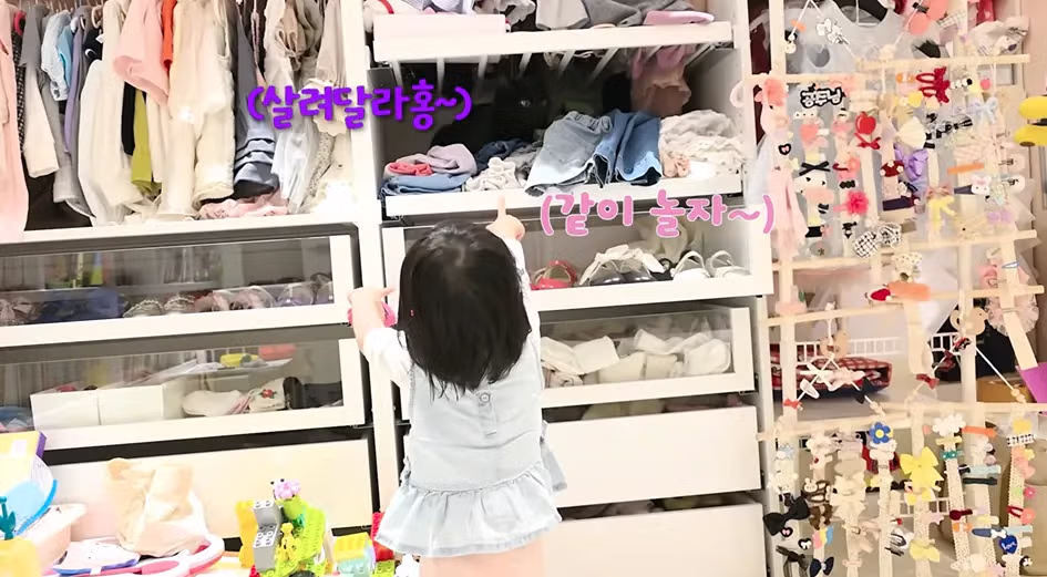 박수홍의 반려묘 다홍이 근황 - 개드립 인기글 이미지 2 - 밈카세