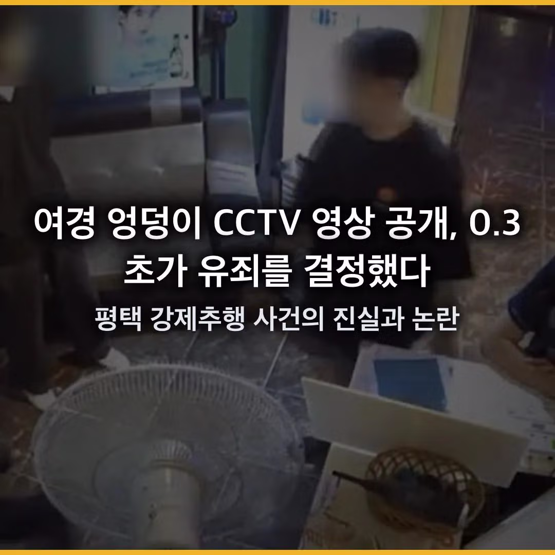 여경 신체 접촉 혐의로 고소당한 남성 - 개드립 인기글 이미지 1 - 밈카세
