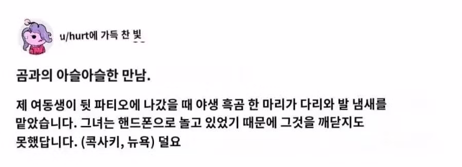 야생 흑곰과 조우한 여동생 - 인벤 인기글 이미지 1 - 밈카세