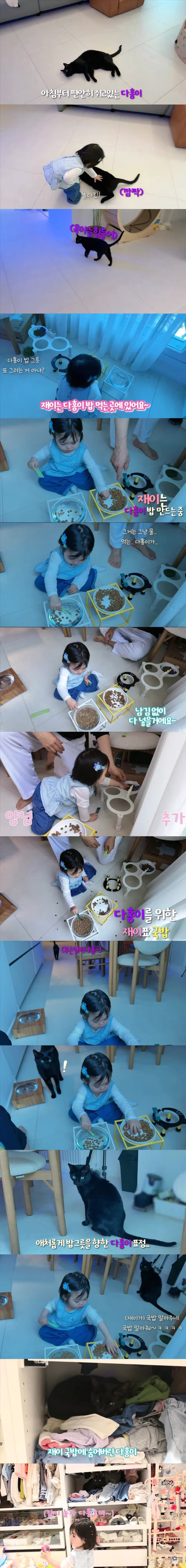 슬슬 시작되는 박수홍 유튜브... - 디시인사이드 인기글 이미지 1 - 밈카세