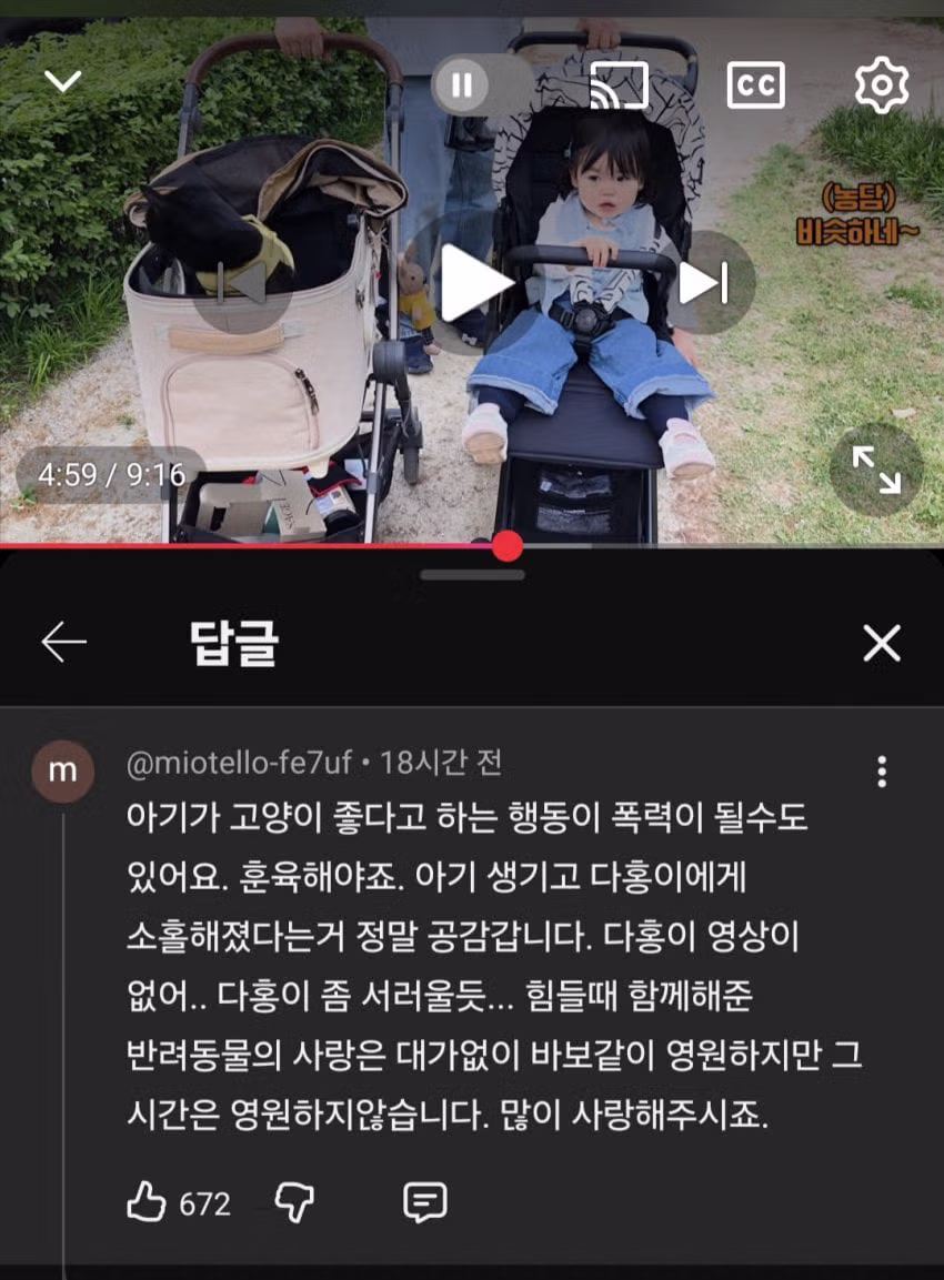 슬슬 시작되는 박수홍 유튜브... - 디시인사이드 인기글 이미지 2 - 밈카세