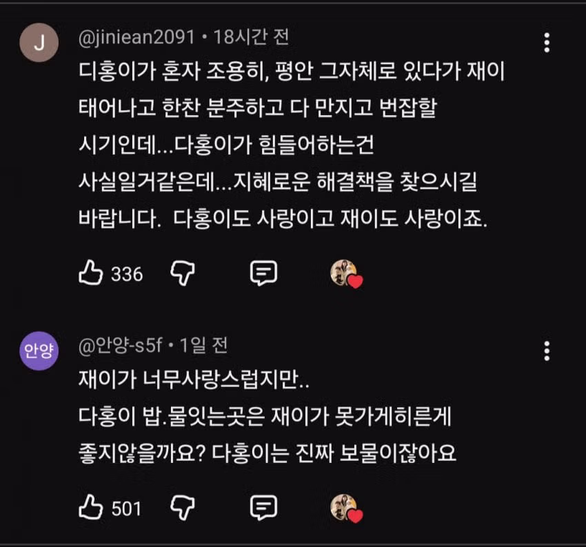 슬슬 시작되는 박수홍 유튜브... - 디시인사이드 인기글 이미지 3 - 밈카세