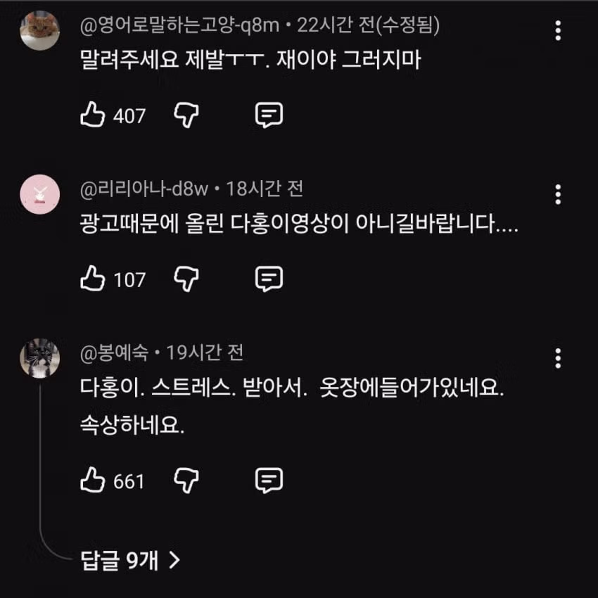 슬슬 시작되는 박수홍 유튜브... - 디시인사이드 인기글 이미지 4 - 밈카세