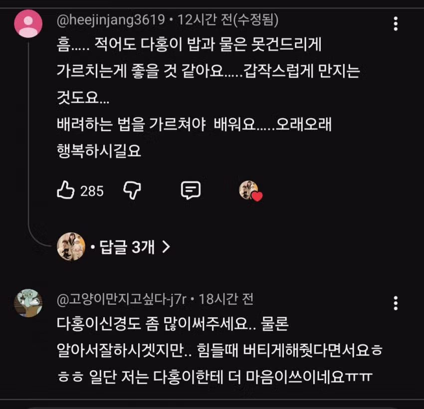 슬슬 시작되는 박수홍 유튜브... - 디시인사이드 인기글 이미지 6 - 밈카세