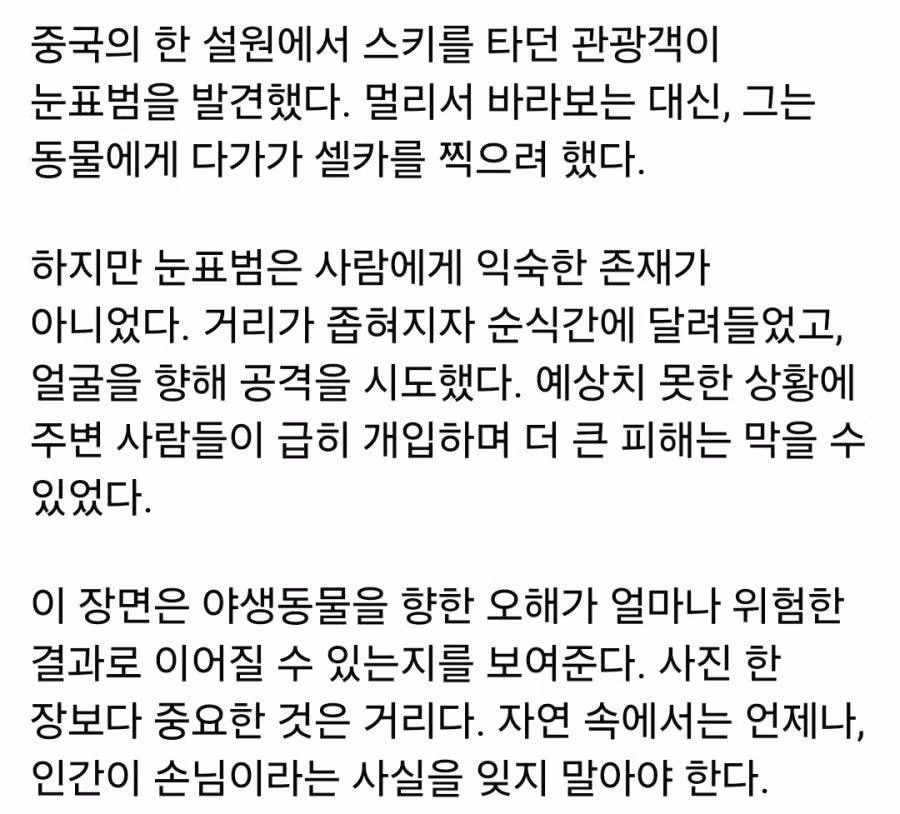 눈표범에게 습격당한 중국인 상황 - 더쿠 인기글 이미지 4 - 밈카세