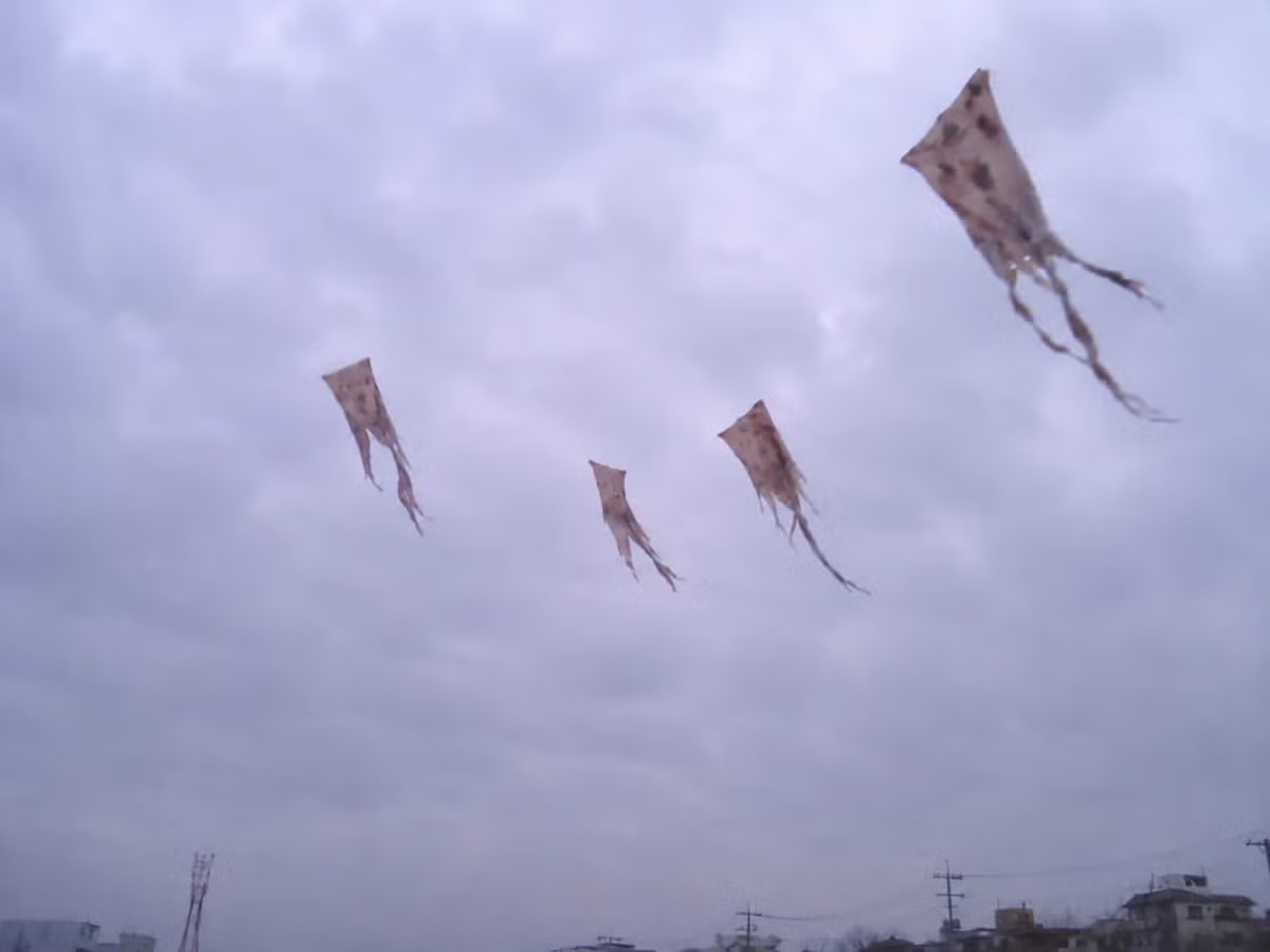 한국인들은 별로 안무서워하지만 외국인들은 까무러치는 짤 모음 - 디시인사이드 인기글 이미지 7 - 밈카세