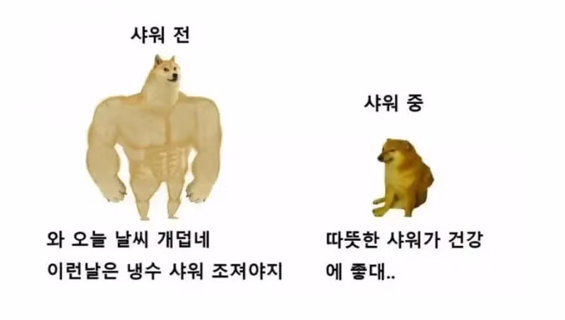 한여름 샤워 후 느껴지는 공통적인 특징 - 인벤 인기글 이미지 1 - 밈카세