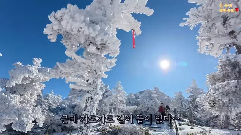 5분 만에 한라산 정상에 도달한 유튜버 - 웃대 인기글 이미지 5 - 밈카세