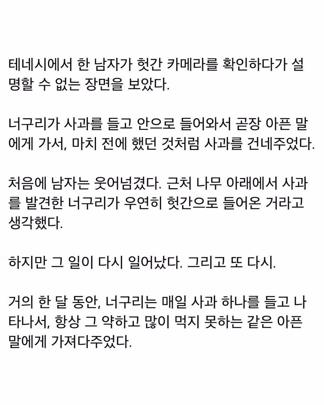 너굴맨이 매일 사과를 훔쳐갔던 충격적인 이유 - 더쿠 인기글 이미지 2 - 밈카세