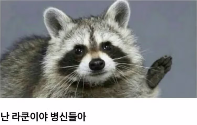 너굴맨이 매일 사과를 훔쳐갔던 충격적인 이유 - 더쿠 인기글 이미지 4 - 밈카세