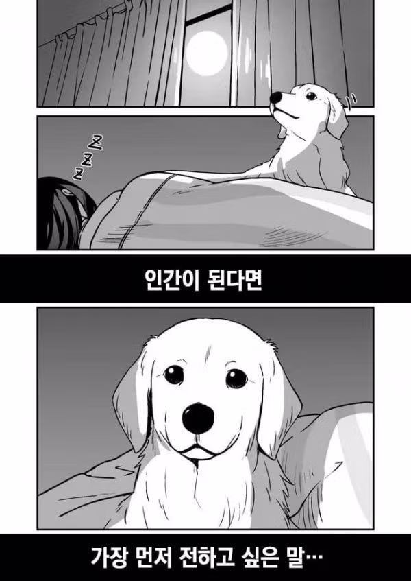 사람이 된다면 가장 먼저 하고 싶은 말 - 개드립 인기글 이미지 2 - 밈카세