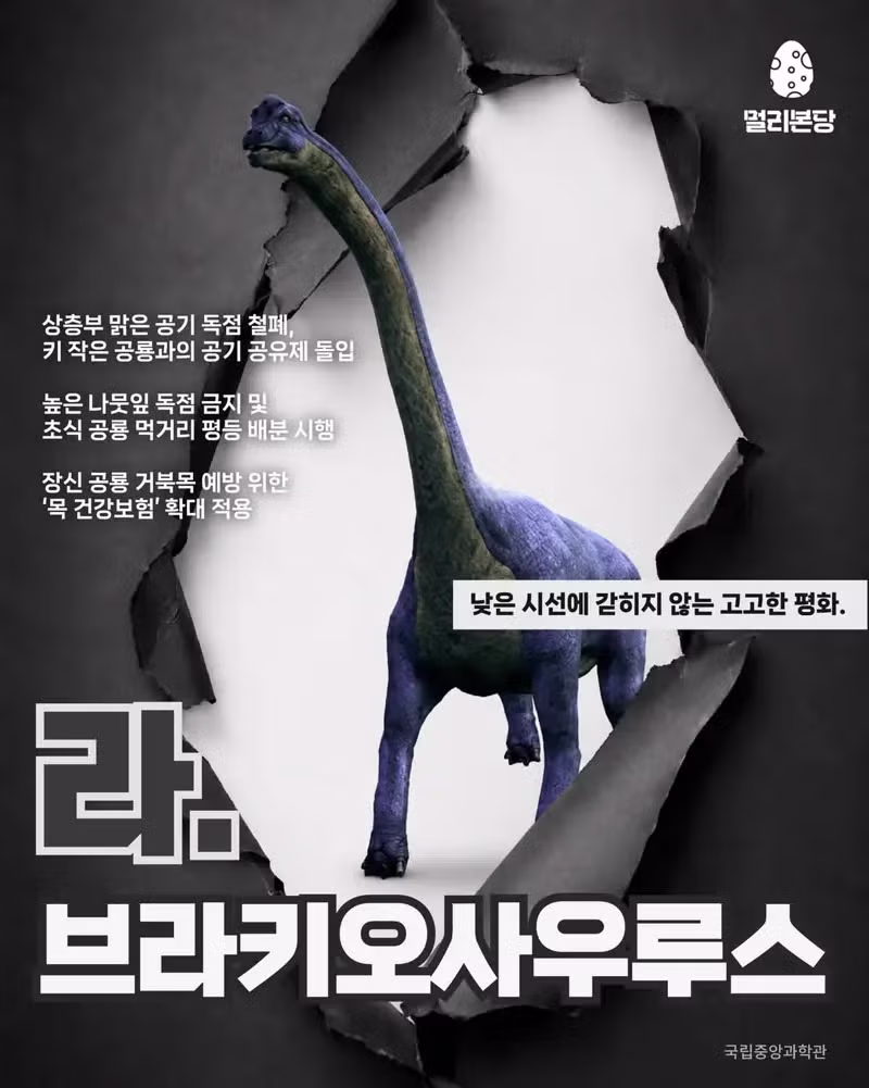 제2대 공통령 선거 결과 - 클리앙 인기글 이미지 5 - 밈카세