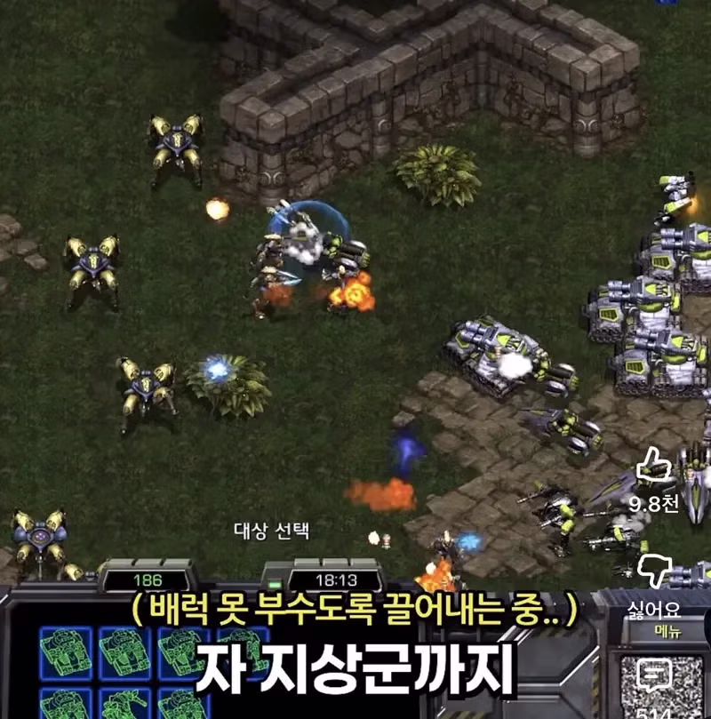 테사기 근황 - FM코리아 인기글 이미지 8 - 밈카세