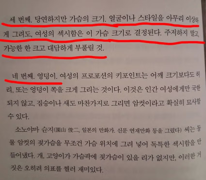 만화 속 여성 캐릭터의 가슴 크기가 중요한 이유 - 개드립 인기글 이미지 4 - 밈카세
