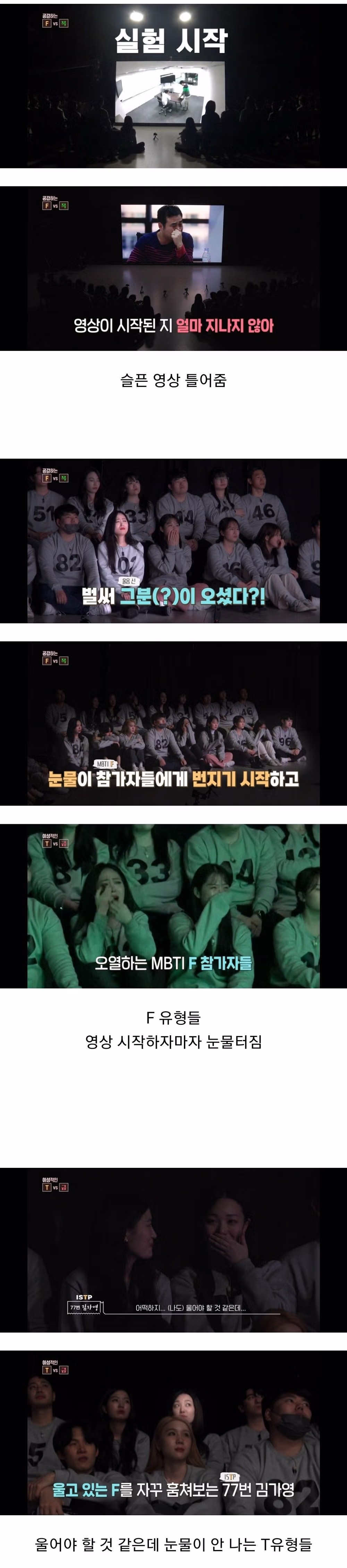 mbti vs 사주 정확성 실험결과 2