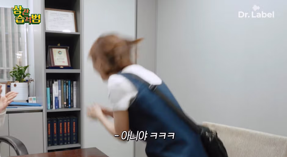 성형외과 원장이 꼽은 요즘 대세 여자 연예인 2명 - 뽐뿌 인기글 이미지 6 - 밈카세