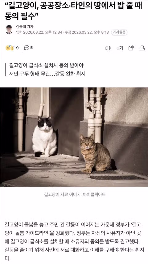 대왕암공원 너구리, 길고양이들과 영역다툼 2