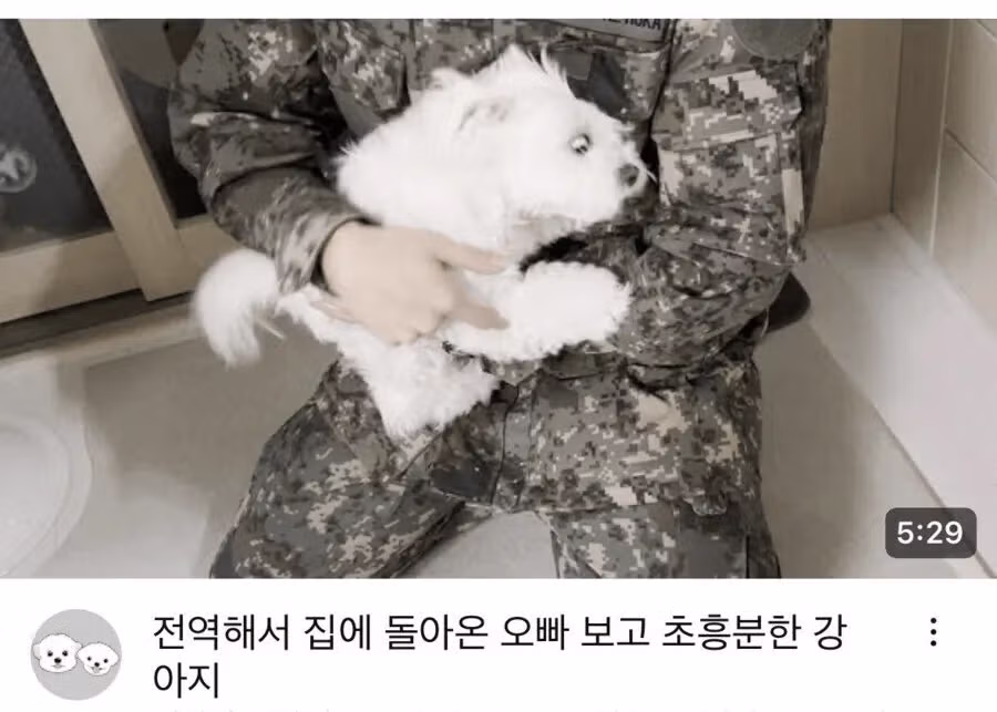 군대 간 오빠를 기다린 강아지의 모습 - 더쿠 인기글 이미지 3 - 밈카세