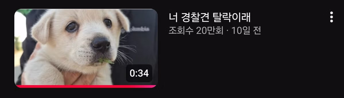 야심차게 공무원 지원했는데 쉬었음강아지 됨 - 웃대 인기글 이미지 2 - 밈카세