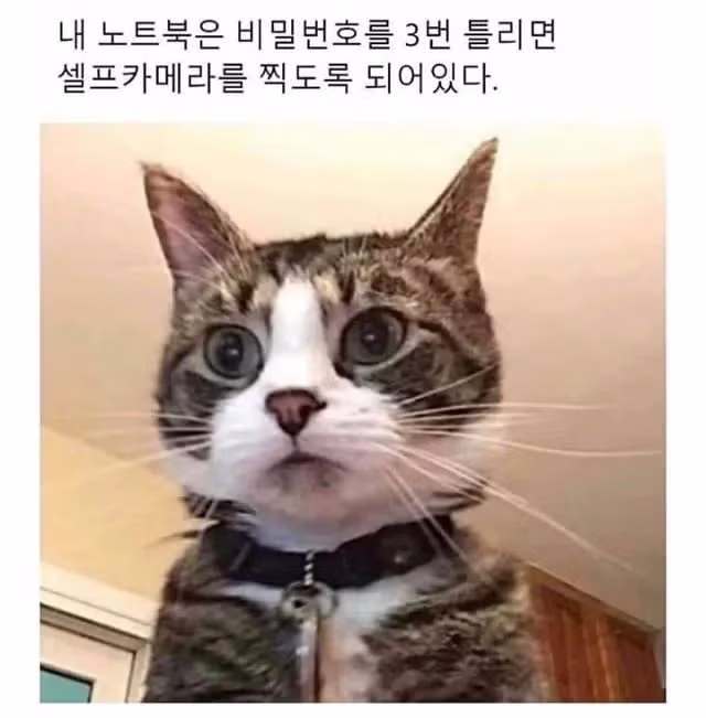 노트북 비밀번호 3번 틀리면 셀프캠 찍히는 기능 - 인벤 인기글 이미지 1 - 밈카세